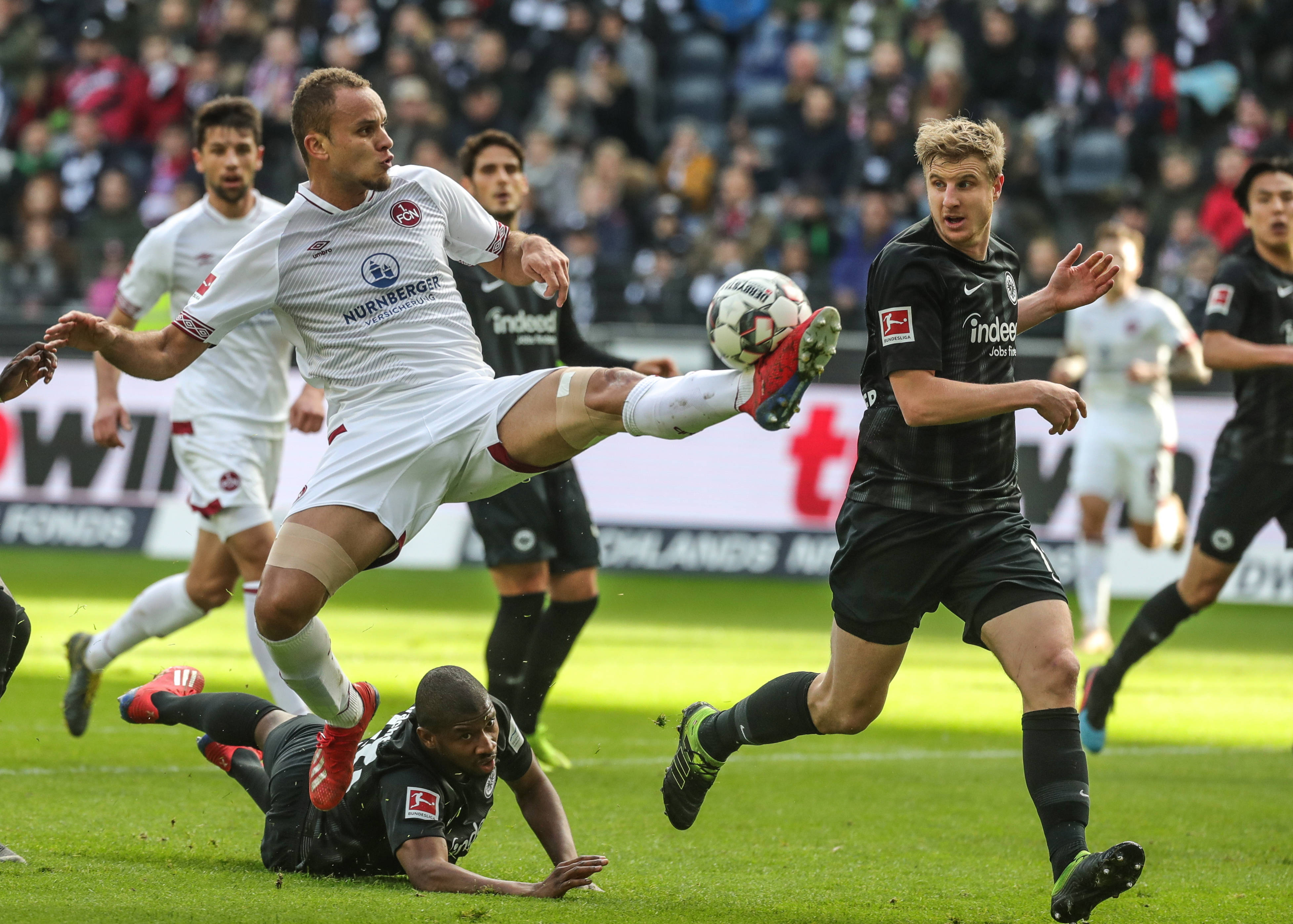 因为他不仅 因为他不仅